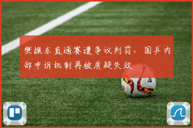 樊振东直通赛遭争议判罚，国乒内部申诉机制再被质疑失效