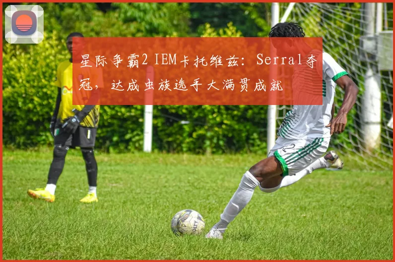 星际争霸2 IEM卡托维兹：Serral夺冠，达成虫族选手大满贯成就